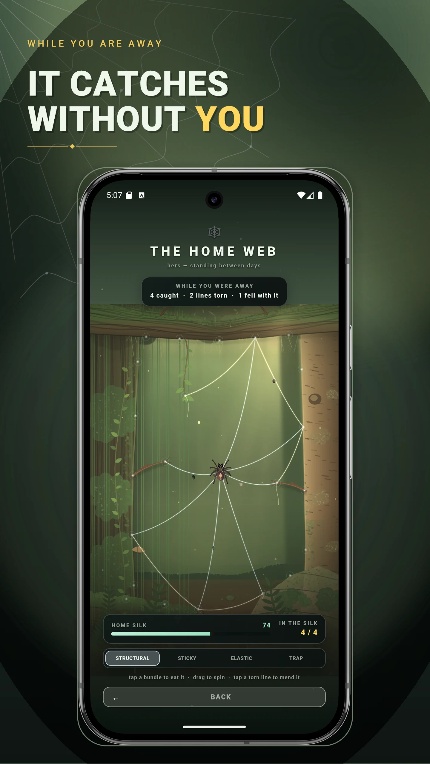 Silkweaver: Spider Web Hunt screenshot